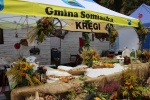 Ikona