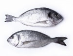Ikona